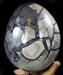 Septarian Dragon Egg Geode - Black Crystals #37118-1